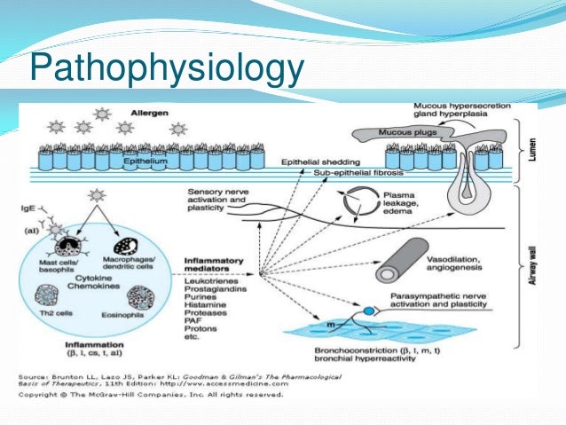 Pharmacology of Asthma